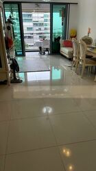 Eight Courtyards (D27), Condominium #502916741